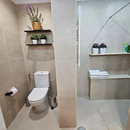 Apartamento Plaza Centro *