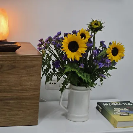 Apartamento Plaza Centro