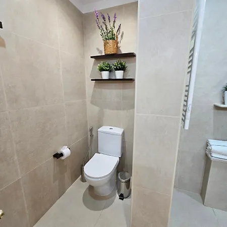 Plaza Centro Appartement *